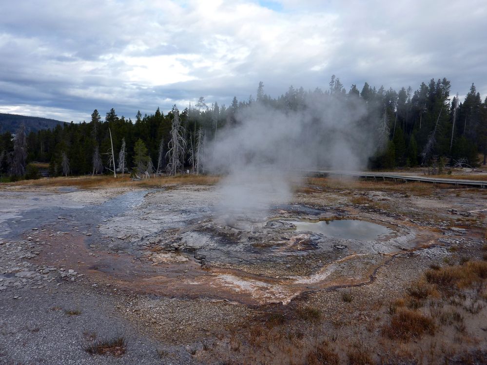 Yellowstone Old faithfull et ses environs (37).JPG